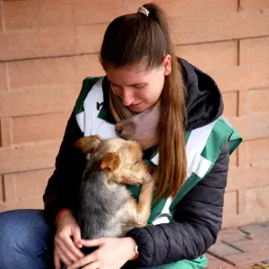 Votre compagnon entre de bonnes pattes à Silly