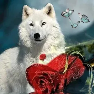 Recherche femme de ménage