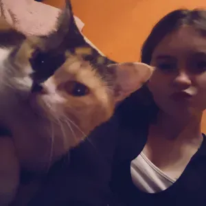 Pet-sitter étudiante Belgique Hainaut La Louvière Enghien