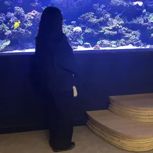 Pet-sitter en Yvelines ou Paris