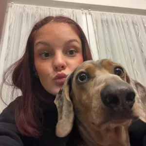 🐾 Pet sitter – Garde & promenade d'animaux | Awans