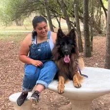 Treino Canino,Dog Walking e Pet Sitting (PORTO E GAIA)