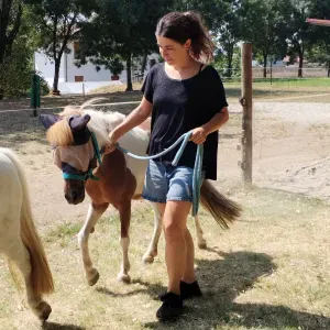 Pet sitting di fiducia a Verona