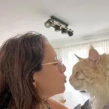 La maison du bonheur pour chats et chiens