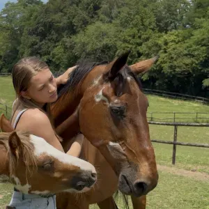 Pet sitter en Belgique ,prête à garder vos animaux