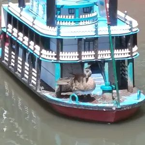 Aide domicile Audincourt 25400