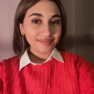 Baby- Sitter expérimentée hors France