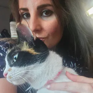 Cat sitter a Sesto San Giovanni