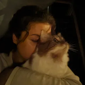 Pet sitter sur Mérignac et alentour