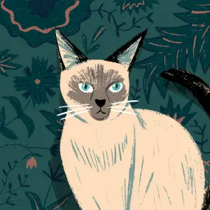 Ricerca 2 ore pulizie a settimana