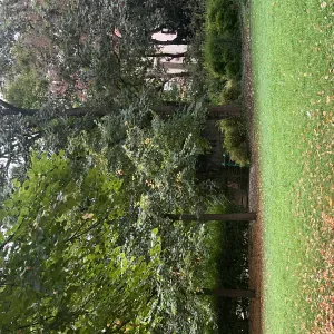 Maman de 3grand enfants voilà mon expérience 