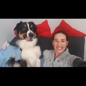 Promenades / visites / gardes d'animaux