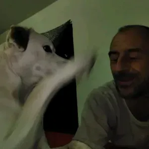 Pet-sitter sur Nîmes disponible 7j/7 