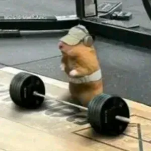 Disponible pour garde d'animaux et promenades 