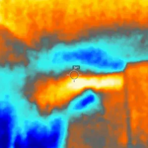 Cerco persona disponibile a fare le pulizie casa