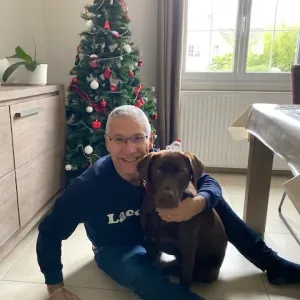 Garde et promenade d'animaux