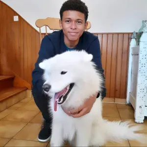 Jeune Pet-Sitter - Attention pour vos mascottes 🐶❤️