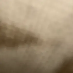 Aide à domicile pour vous aînés à Épinal