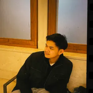 Responsible cleaning, neat and not noisy -  Amsterdam