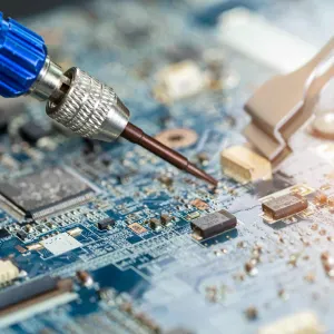 Garde d'animaux à domicile chez vous ou chez moi