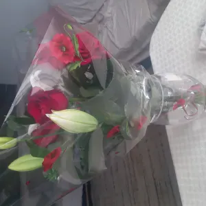 Aide a domicile a grasse et les alentours (20km)