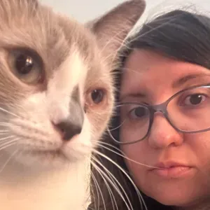 CatSitter Professionista al servizio del tuo gatto a Genova