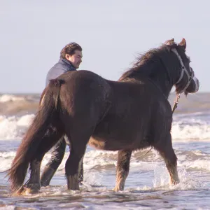 Aide à domicile (Etudiant infirmier)