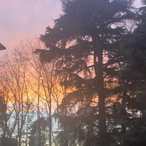 Addetto alle pulizie  a mozzate saronno