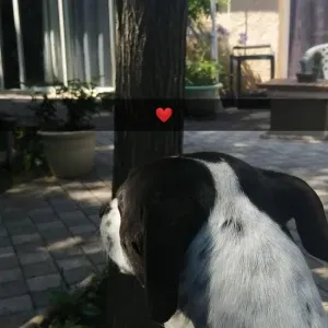 Baby sitter expérimenté dans le var 