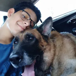 Cuidador de perros en Valencia