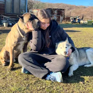 Pet sitting, dog walking, pet sitting services in barcelona