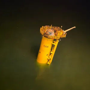 Cuidadora- enfermera empatica y profesional 