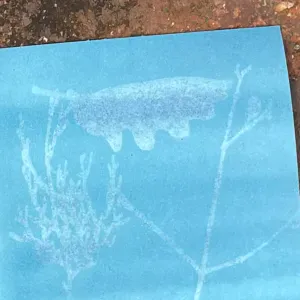 Estoy buscando un canguro cerca de Barcelona