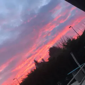 Garde d'animaux régulièrement ou occasionnellement