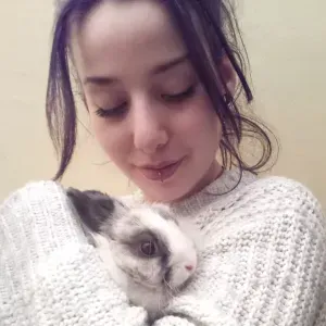 Proposition de garde d'animaux