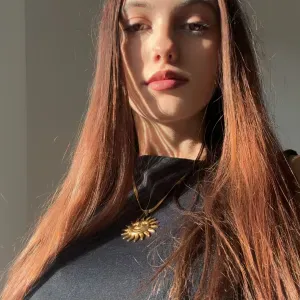 Pet-siter sur Laval et alentours 