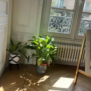 Garde d'enfant