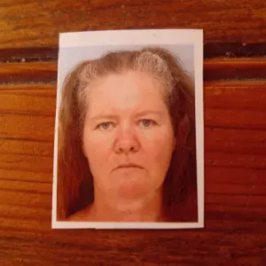 femme de ménage a Tessy bocage 