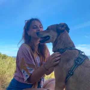 Pet-sitting, enrichissement et promenades 
