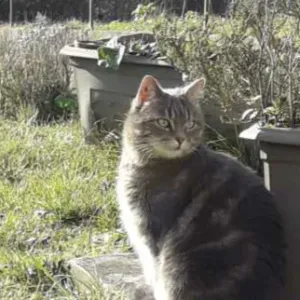 aide à domicile chez un particulier 