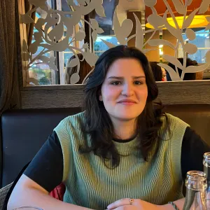 Baby-sitter expérimentée à Metz 