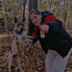 oferuję opiekę nad psami, kotami spacery karmienie zabawa