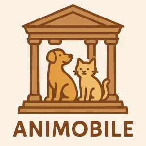Pet sitter professionele à Nimes