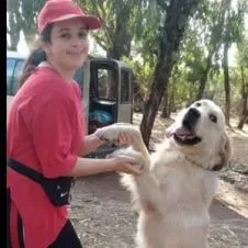 Pet sitter San à paris et règion 