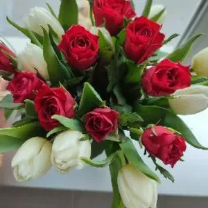 Aide ménagère à Hérouville Saint Clair et alentours 