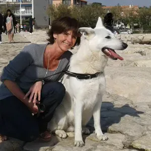 Garde d'animaux