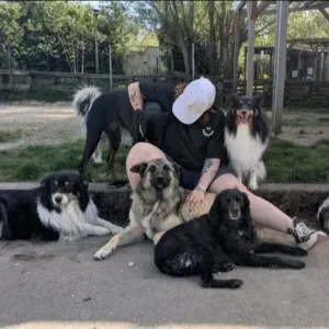 Promenades de chiens, Bourges et alentours 