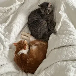 Temps partiel - nounou - septembre 2025 