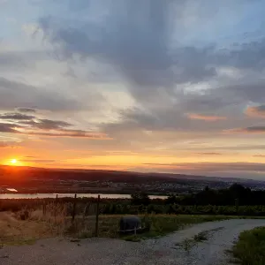 Je cherche un(e) petsitter près de chez moi