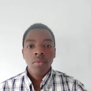 Agent de D'entretien résidant à Brest